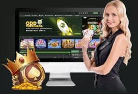 Bar77 live casino dengan dealer profesional dan streaming HD berkualitas tinggi
